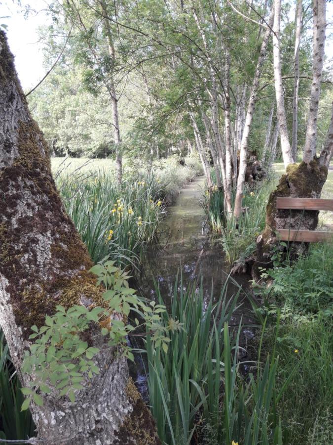 Le Logis De Lange Apt Les Aigrettes Saint-Hilaire-la-Palud Εξωτερικό φωτογραφία